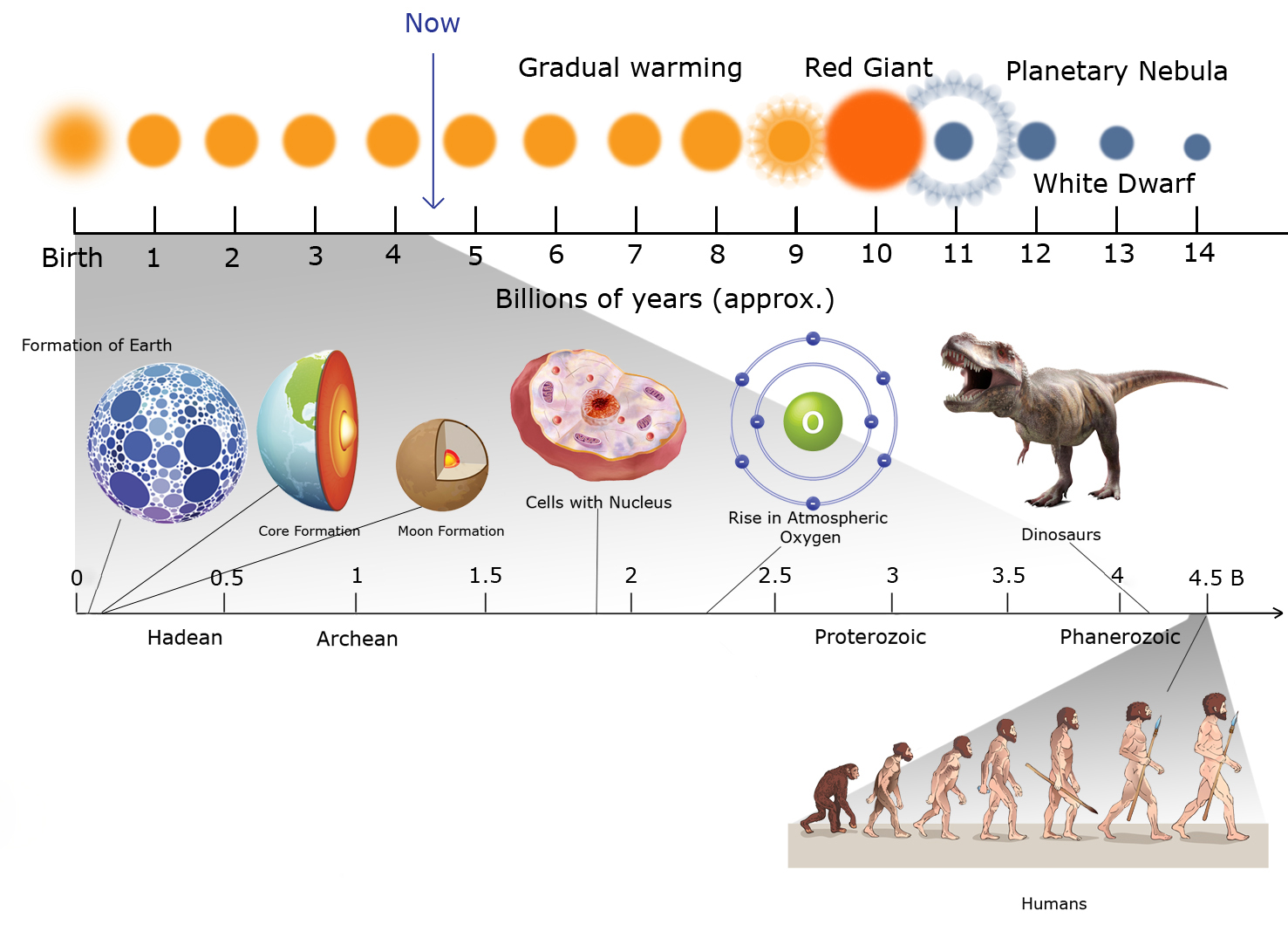 Lifetime of Solar system